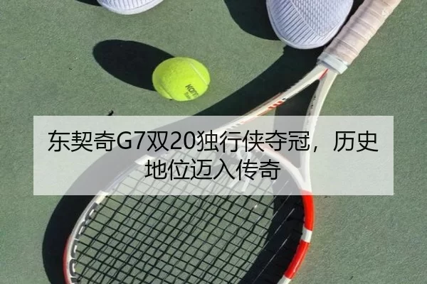 dong-qi-qi-shuang-du-xing-xia-duo-guan-li-shi-di-wei-mai-ru-chuan-qi-2-527.jpg