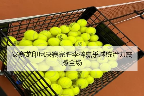 安赛龙印尼决赛完胜李梓嘉杀球统治力震撼全场