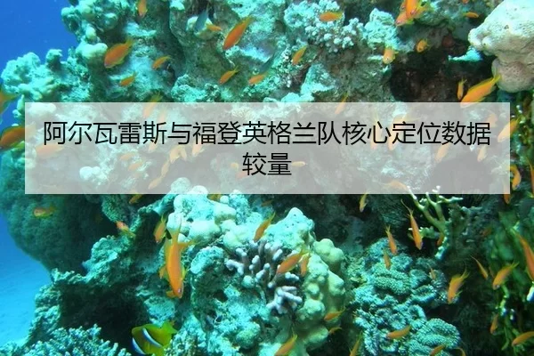 阿尔瓦雷斯与福登英格兰队核心定位数据较量