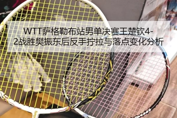 sa-ge-lei-bu-zhan-nan-dan-jue-sai-wang-chu-qin-zhan-sheng-fan-zhen-dong-hou-fan-shou-ning-la-yu-luo-dian-bian-hua-fen-xi-3-453.jpg